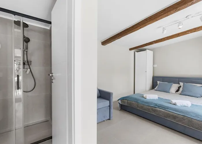 Alis Villa Novigrad Istria